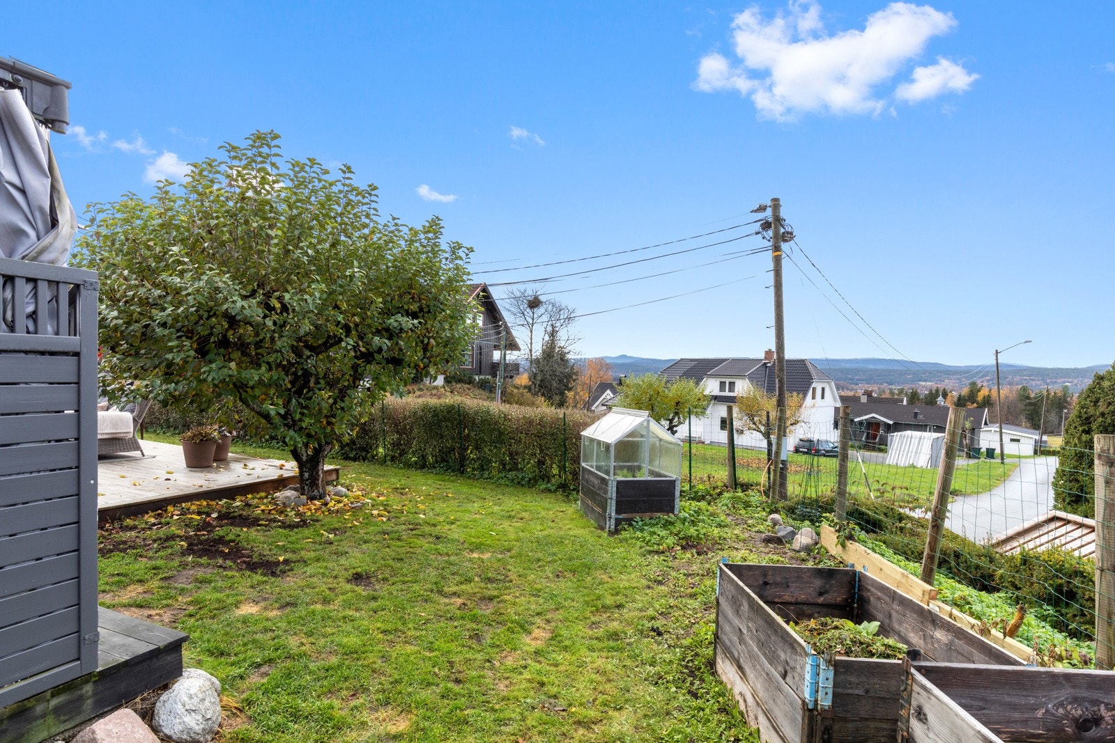 Koselig hage Galleribilde