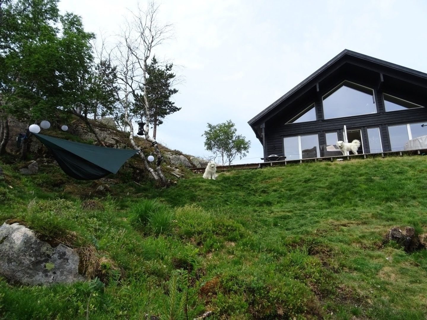 Hytta har usjenerte terrasser mot sør og øst Galleribilde