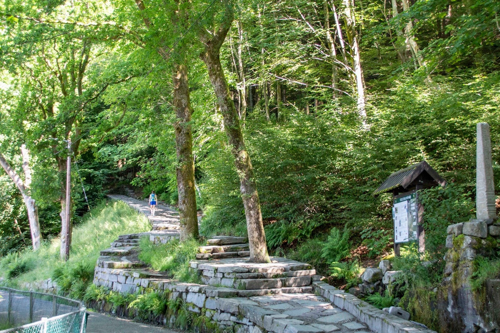 Stoltzekleiven, en elsket og hatet treningsmulighet. Galleribilde