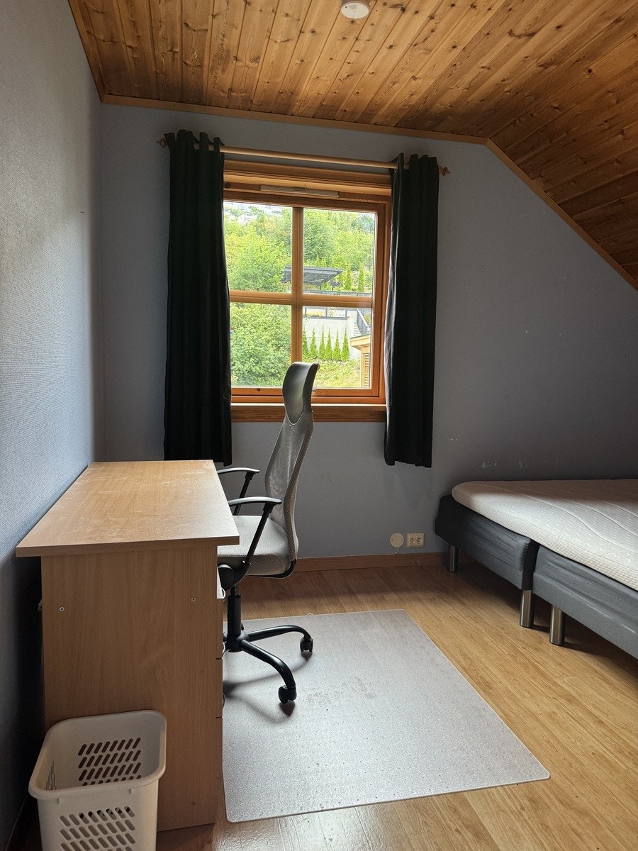 Soverom 1 ledig rom Galleribilde