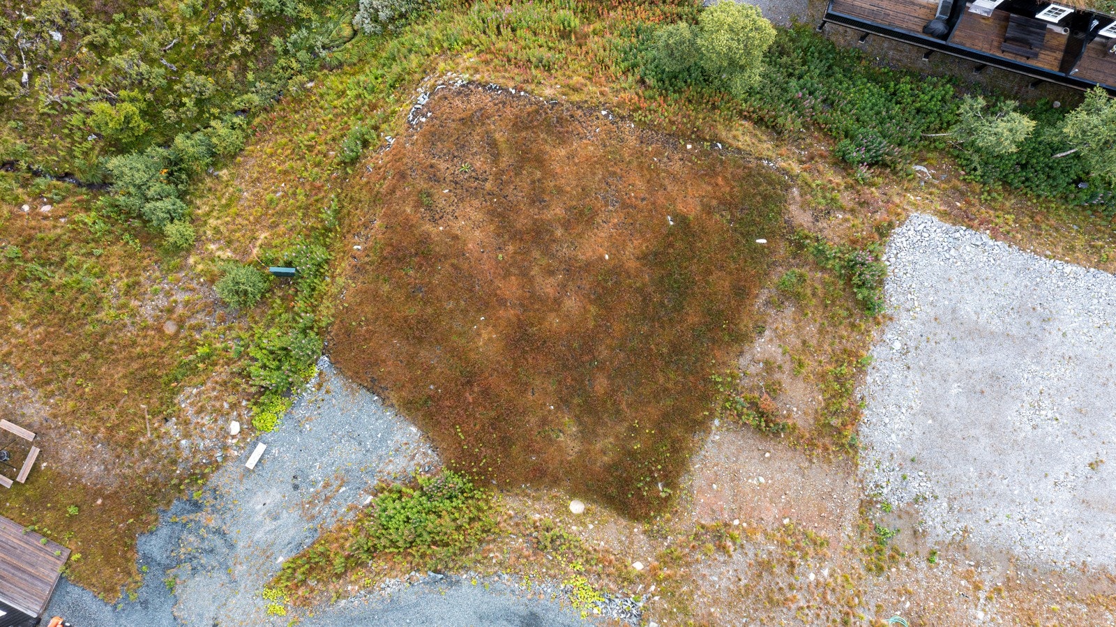 Oversikt over tomten Galleribilde