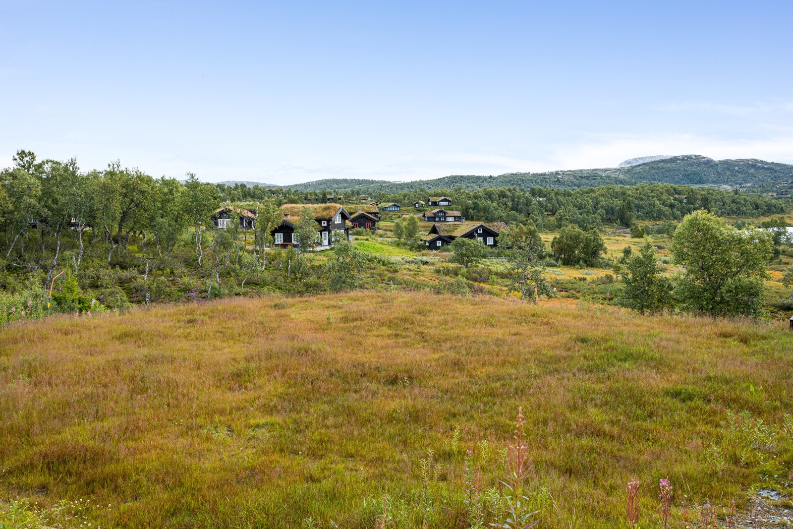 Romslig tomt på 963 kvm med fantastisk plassering Galleribilde