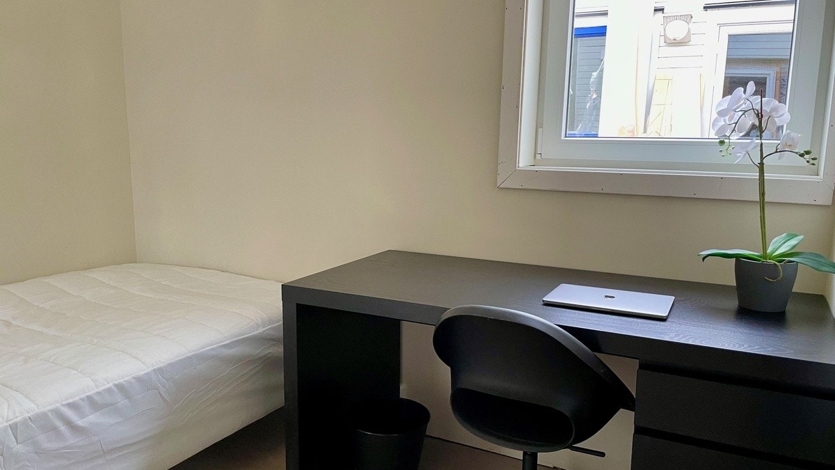 Hyblene kommer i fire forskjellige størrelser Galleribilde