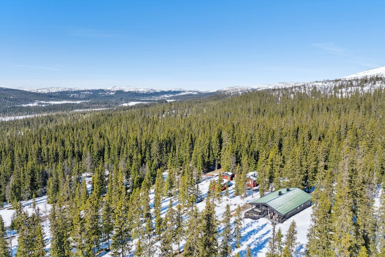 Kort avstand til fantastiske Bittermarka Galleribilde