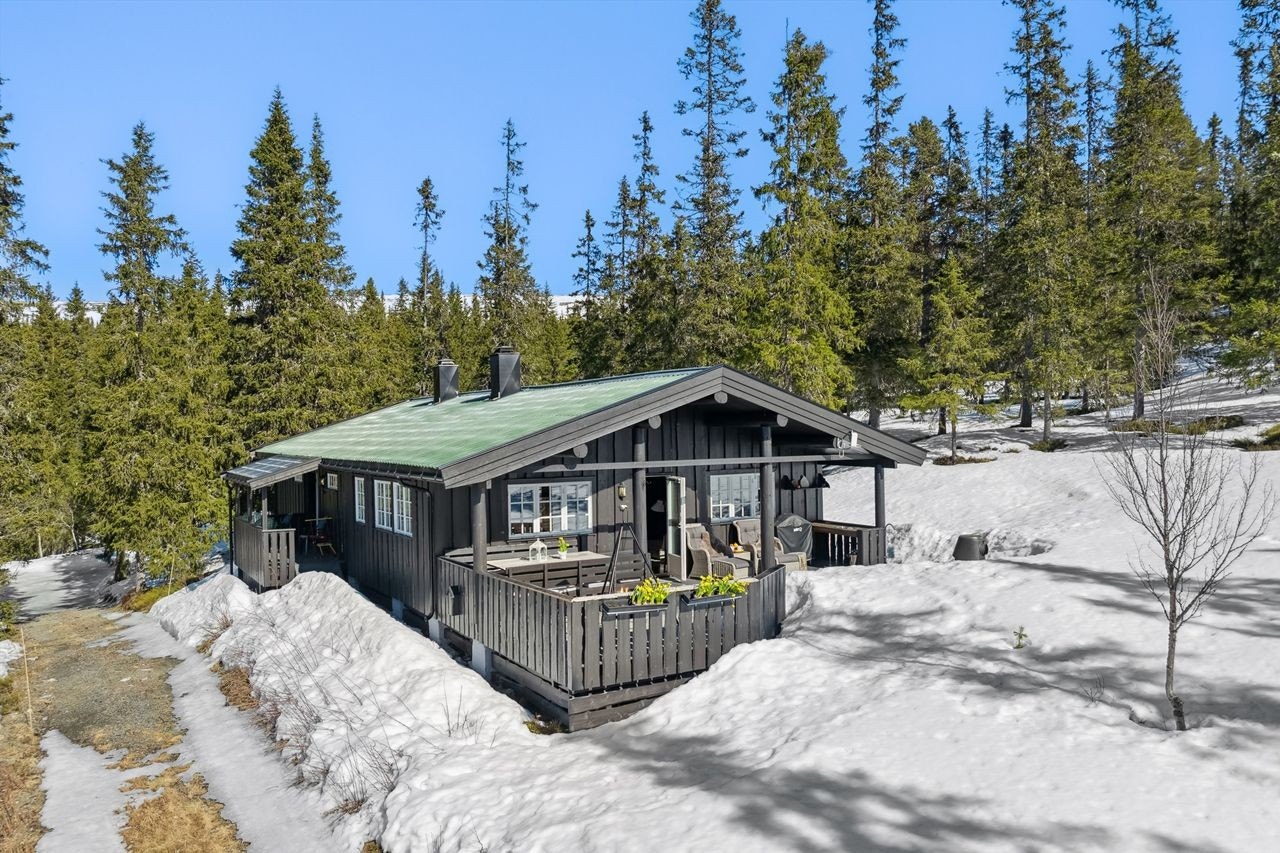 Velkommen til Elgshøvegen 81 Galleribilde