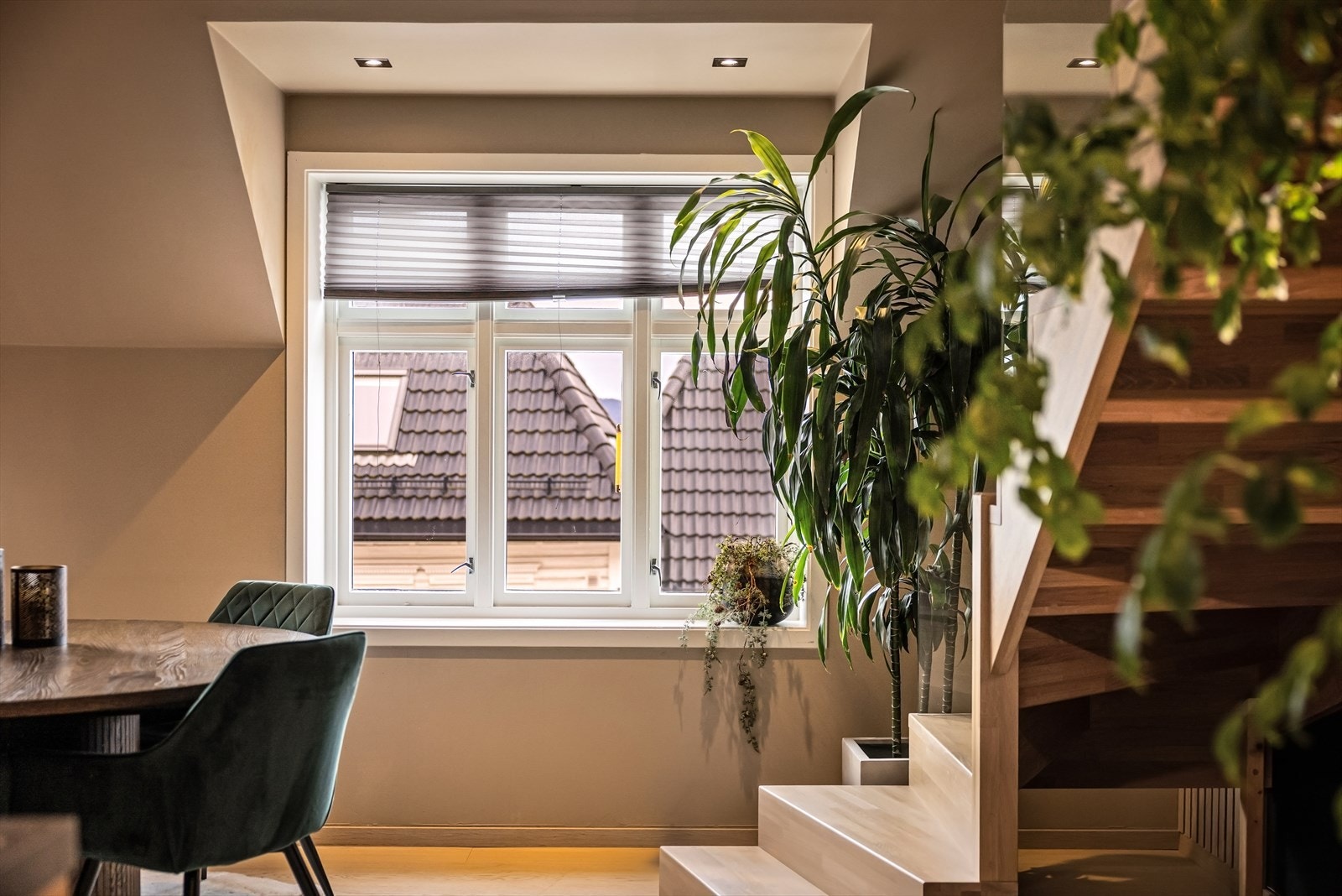 Vindusflater som slipper inn rikelig med lys og gir en luftig atmosfære. Galleribilde