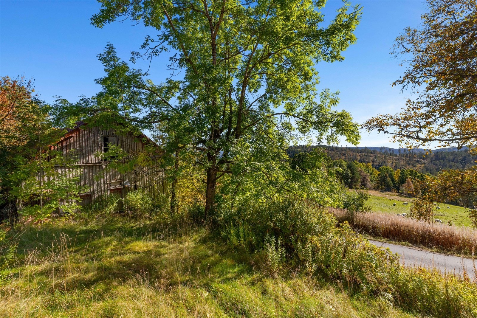 Mefølger 9 hyttetomter og videreutvikling av Grasstjørn hyttefelt med 71 regulerte råtomter. Galleribilde
