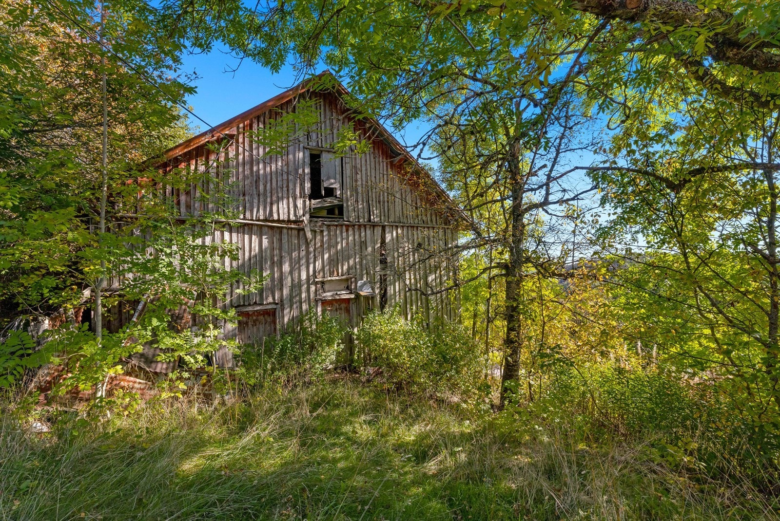 Medfølger et falleferdig uthus. Galleribilde