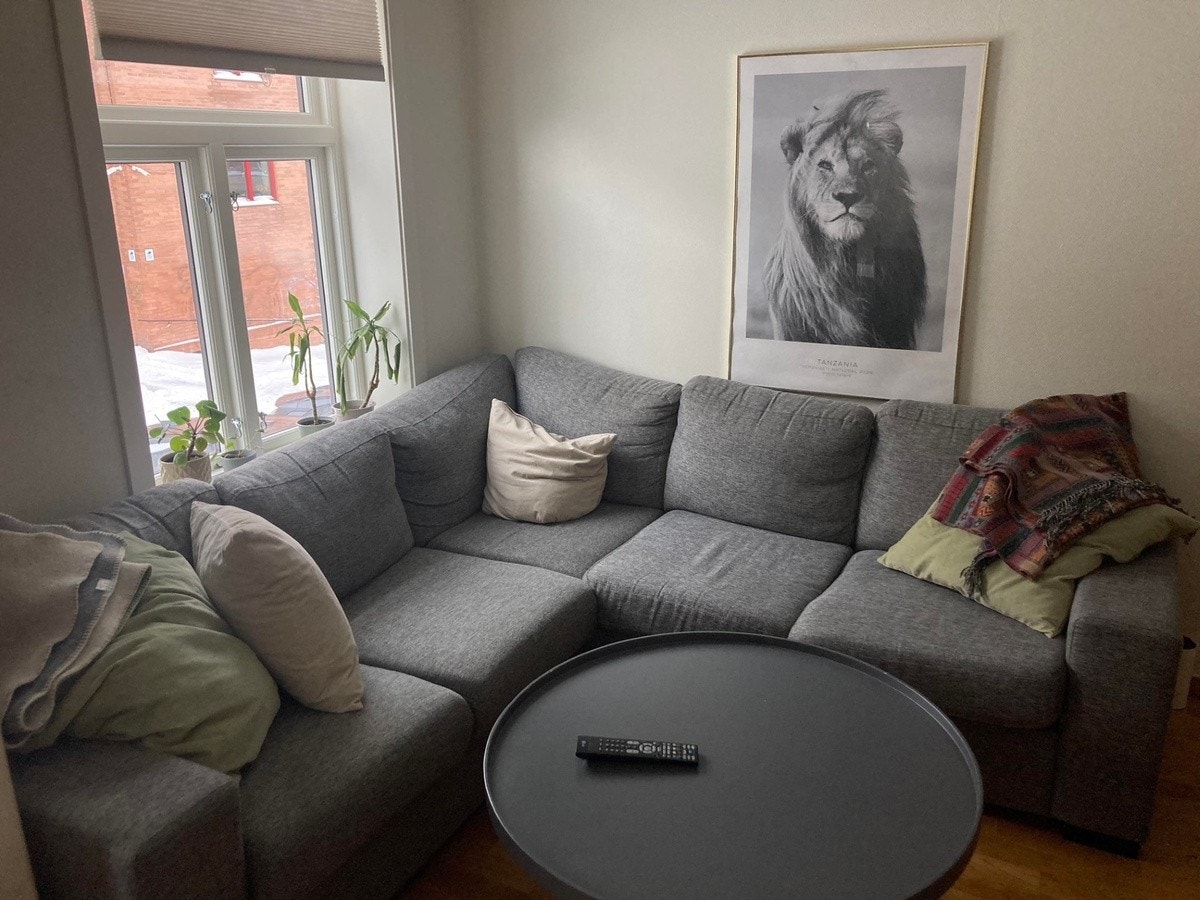 Sofa, Tv krok Galleribilde