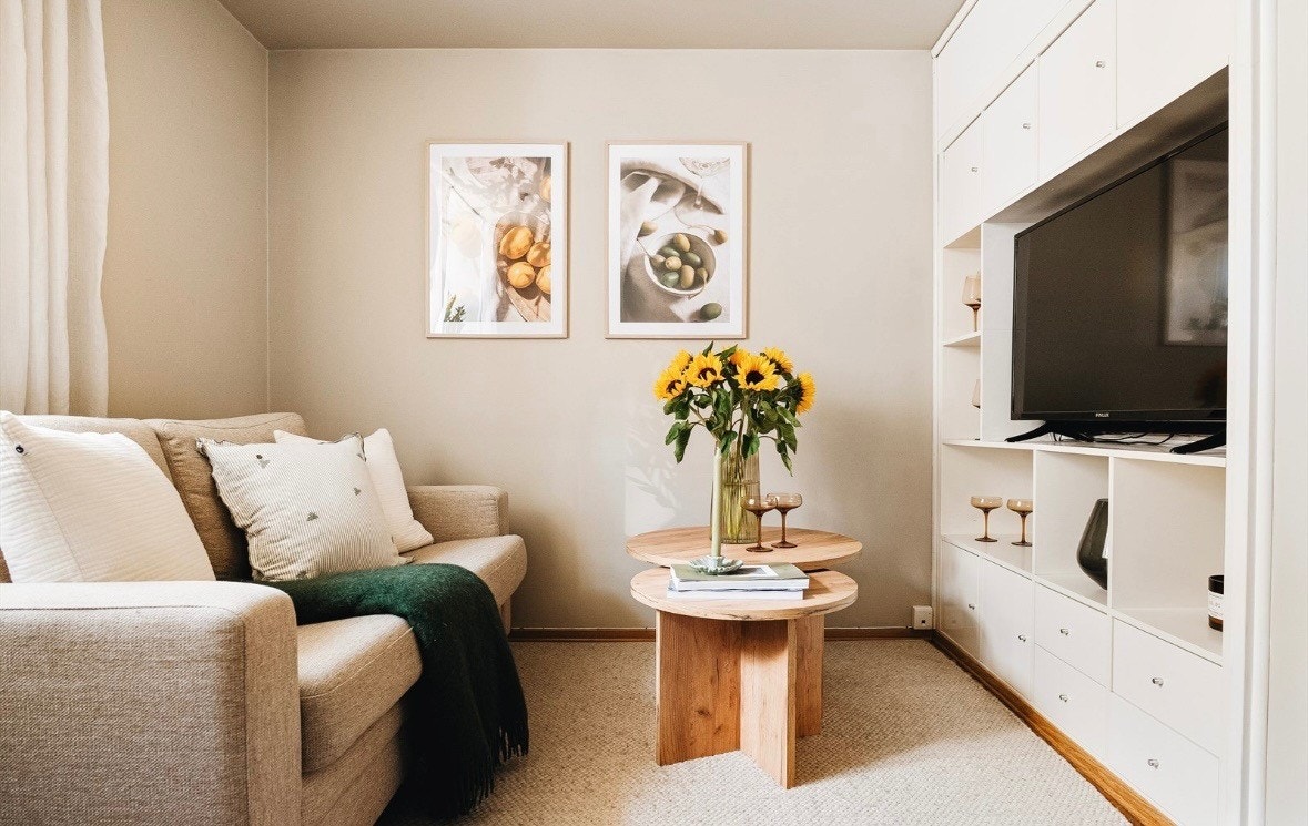 Kun tv, oppbevaringsskap og sofa som følger med. Galleribilde