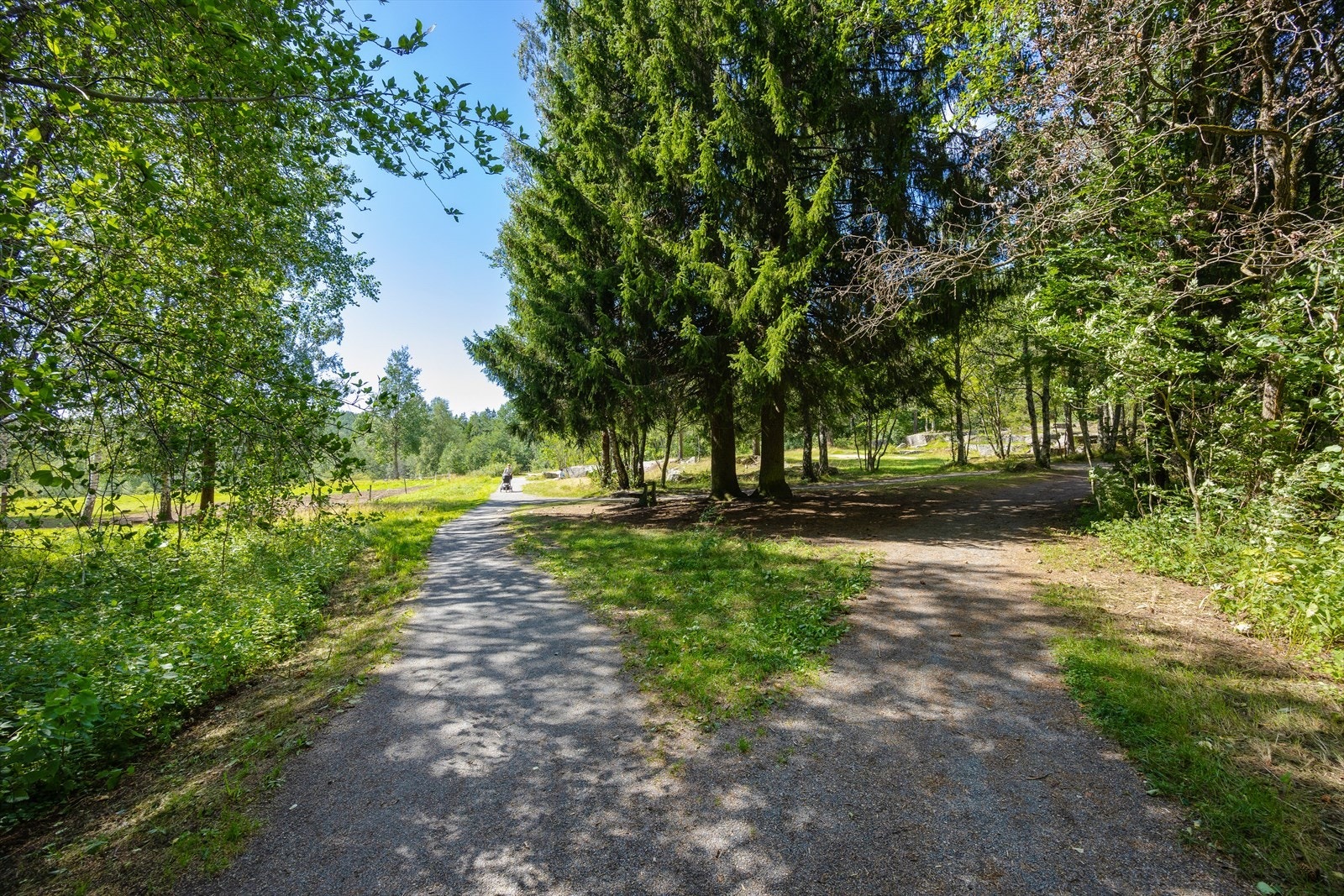 Hestejordene på Sandås er en populær turdestinasjon om sommeren Galleribilde