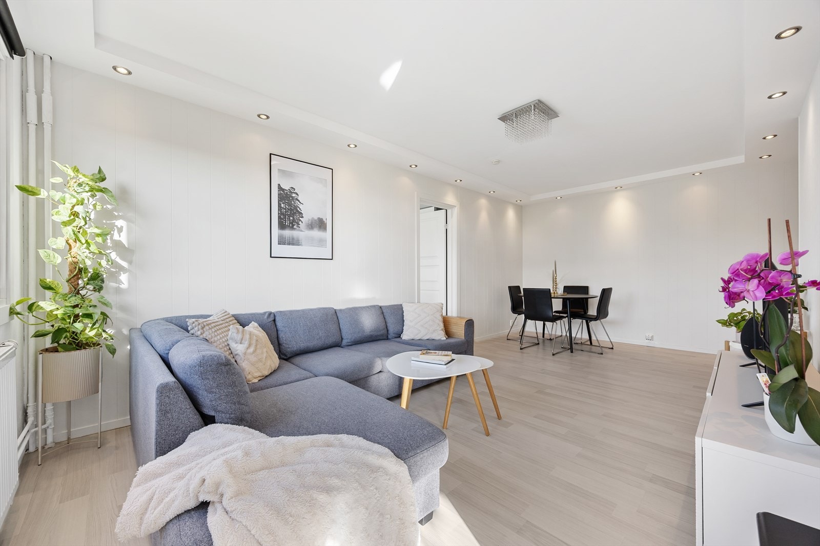 Stuen har en takhøyde på 2,44 meter, noe som bidrar til en luftig følelse Galleribilde