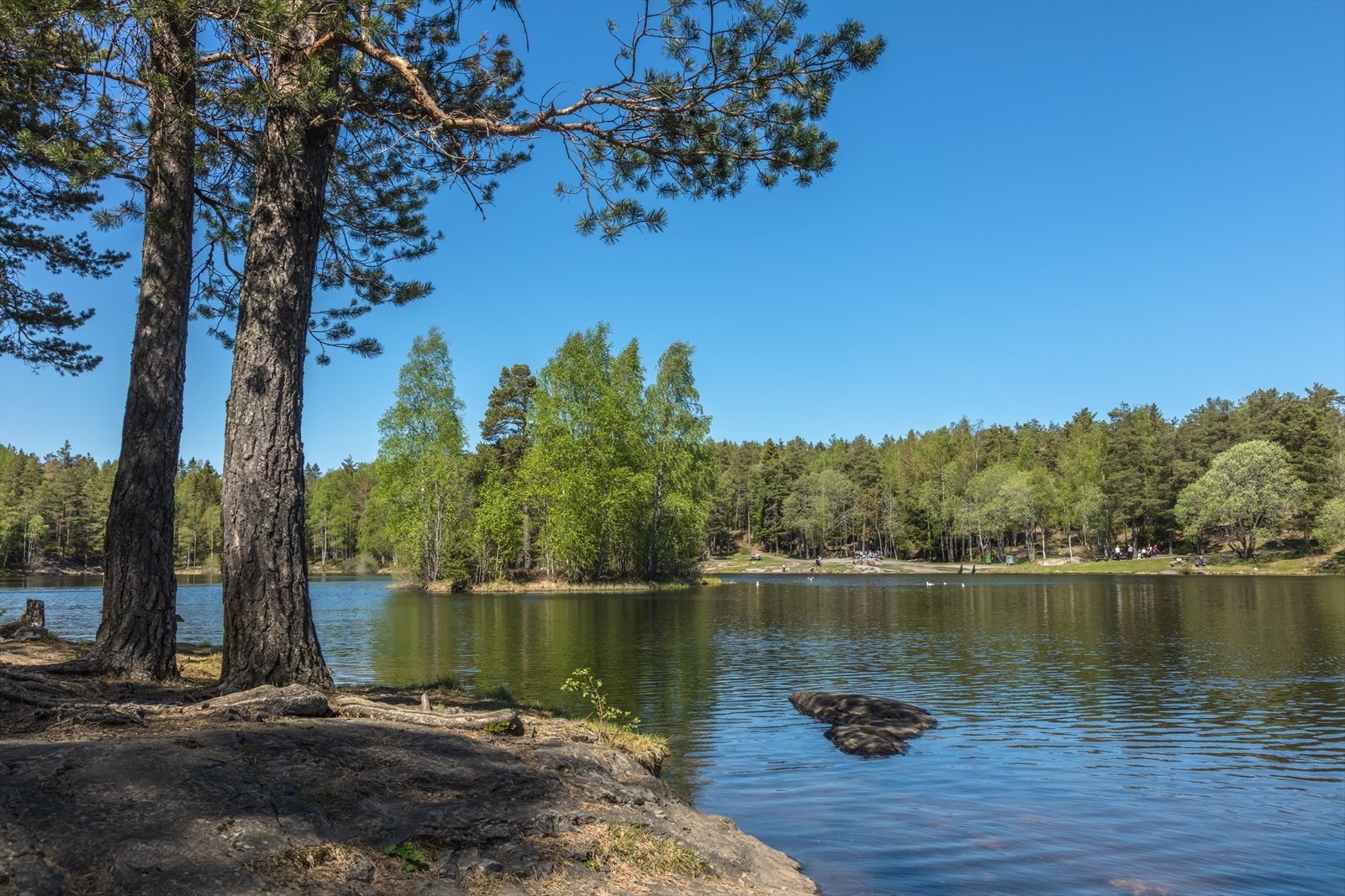 Idylliske Vesletjern Galleribilde