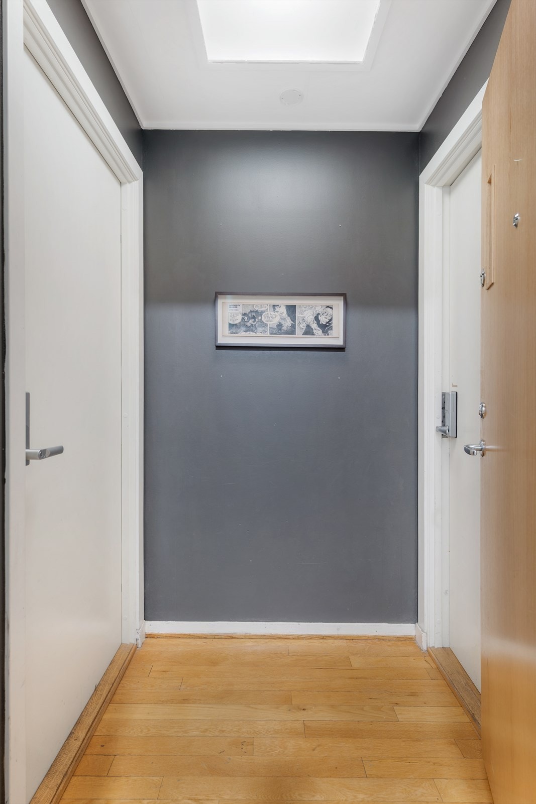 Hoveddel og utleiedel har felles entré/mellomgang, hvor man videre går inn til hver sin boenhet. Galleribilde