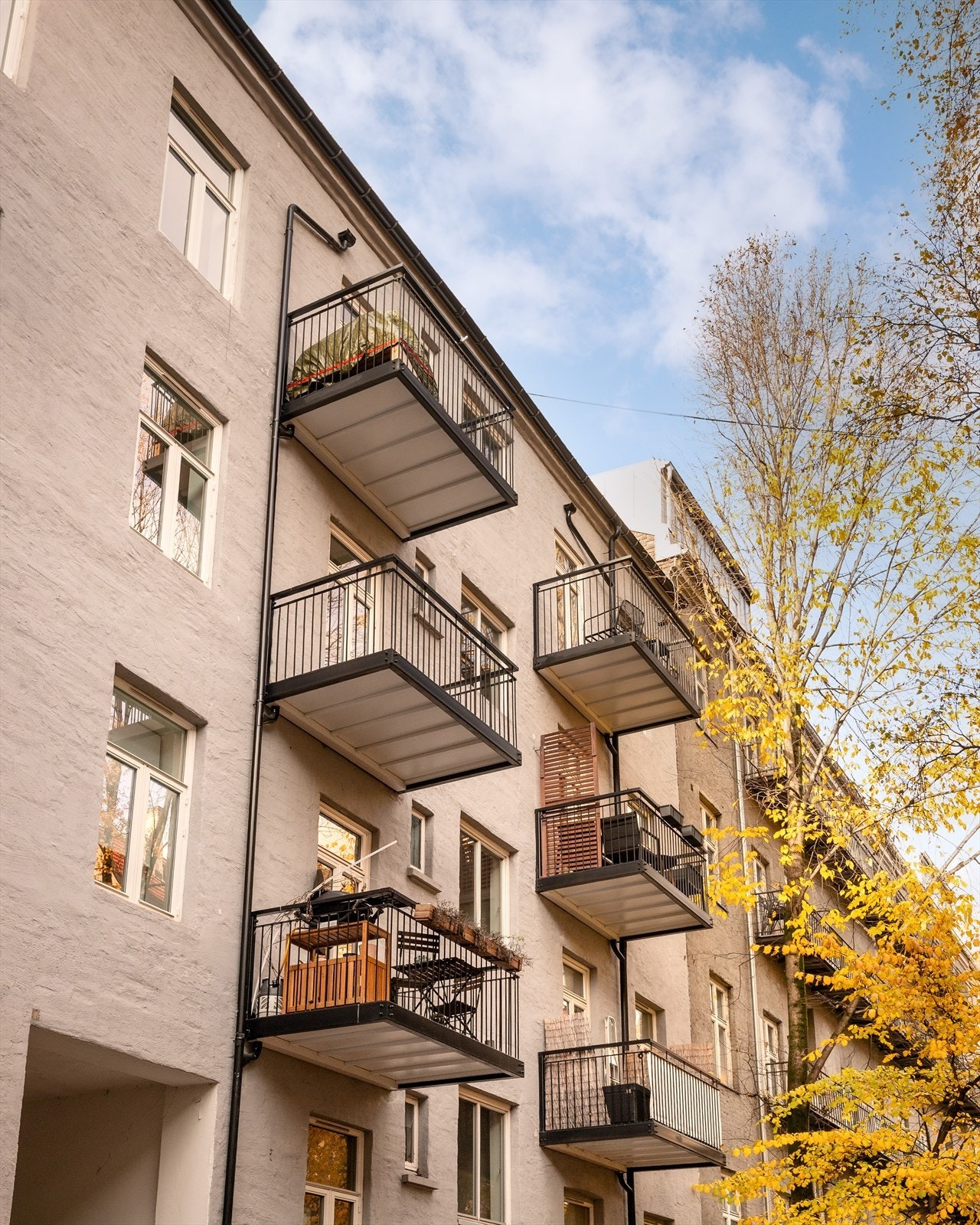 Bakgården er pent opparbeidet med sittegrupper, trær og beplantning. Galleribilde