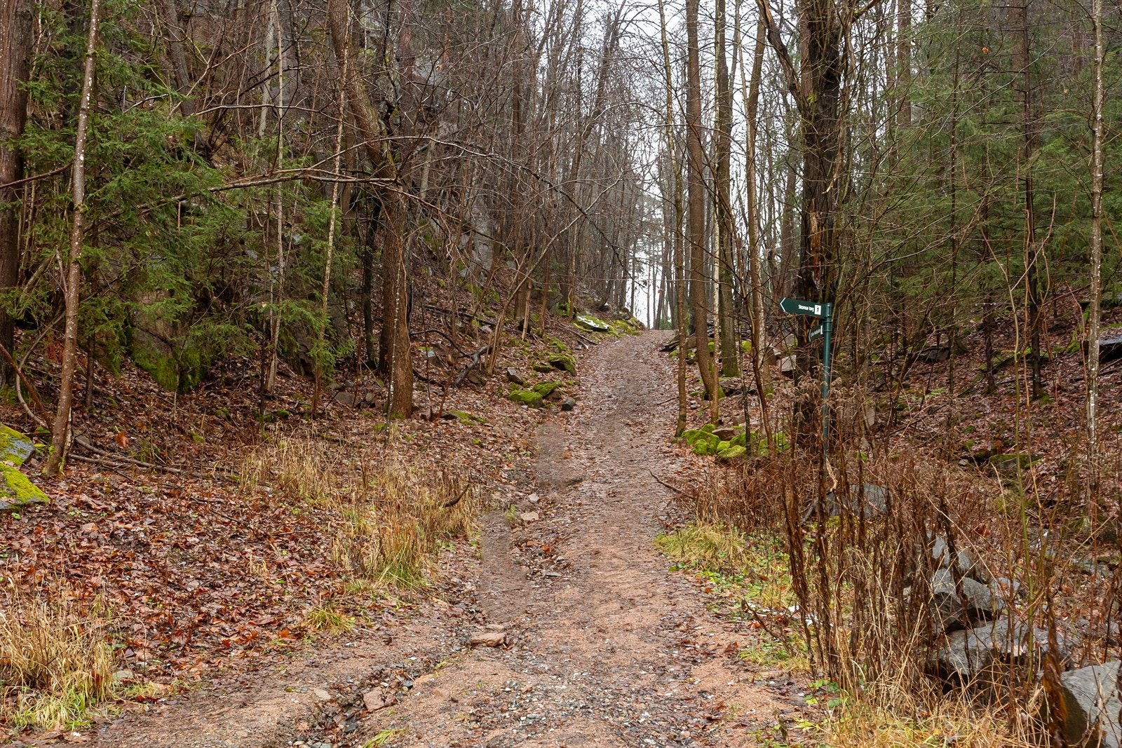Sti som fører gjennom skoglandskap gir enkel tilgang til turmuligheter i nærområdet Galleribilde