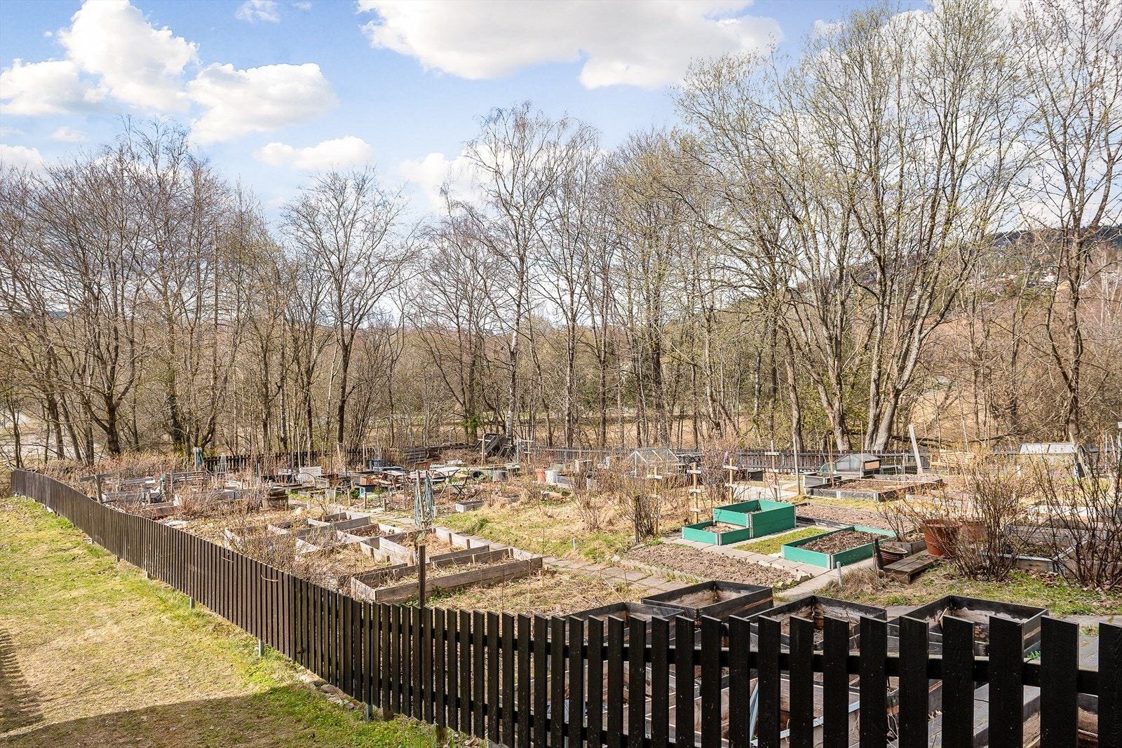 Borettslaget har også parsellhager til utleie Galleribilde