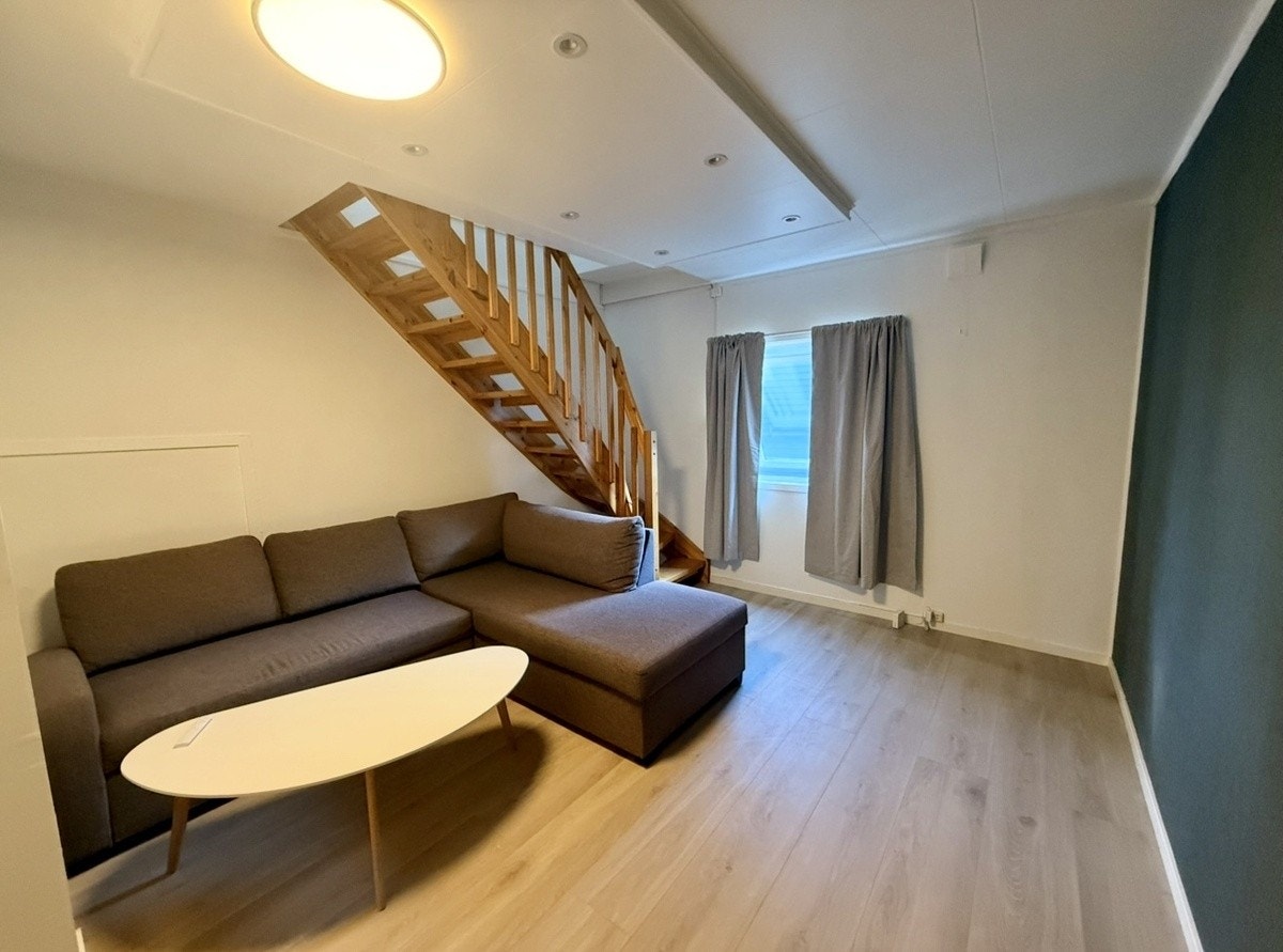 Stue med sovesofa Galleribilde