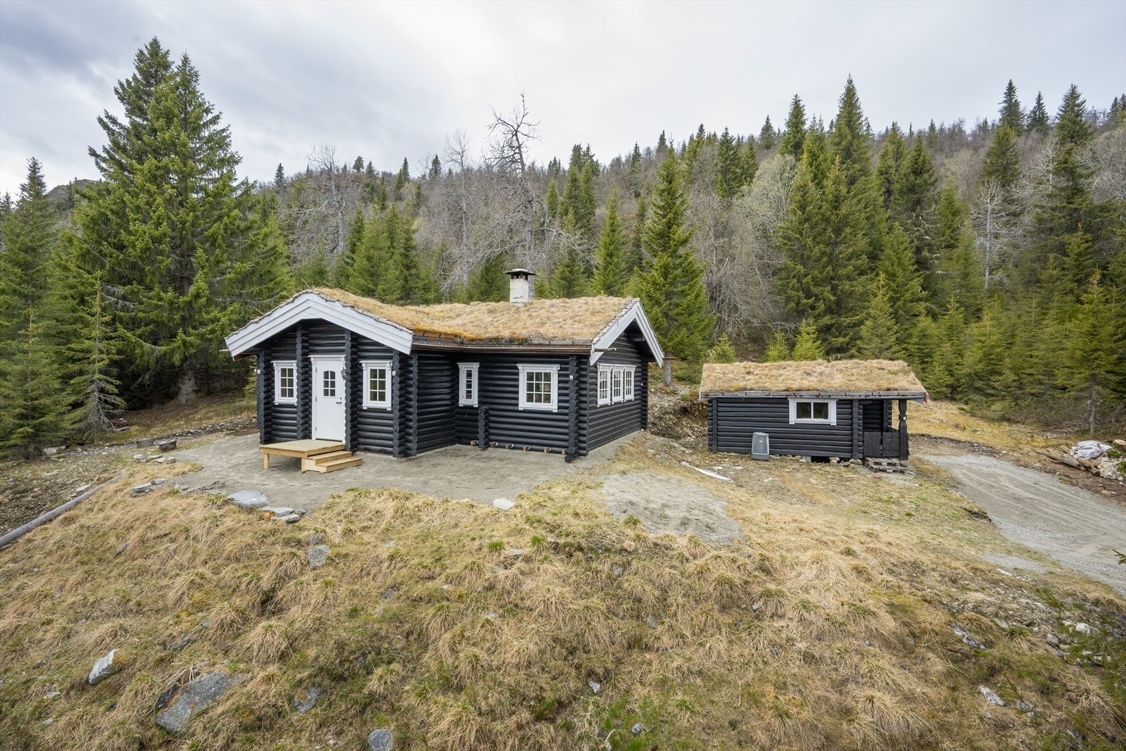 Fasadebilder Galleribilde