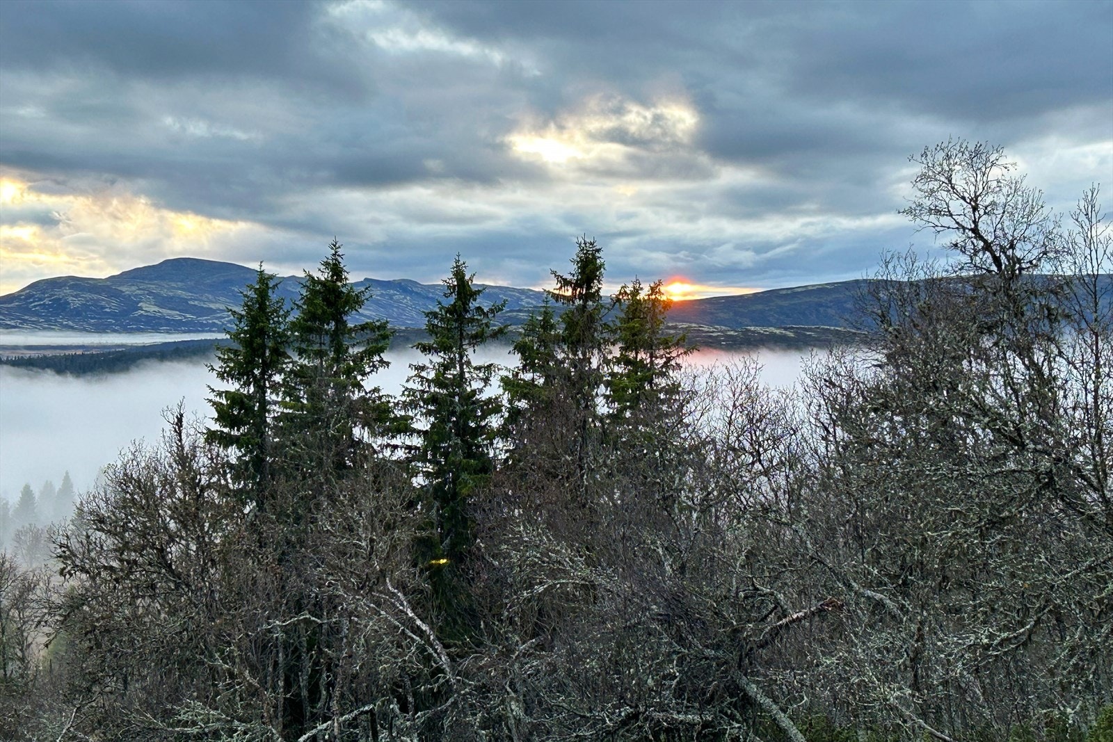 Her bor man nær flotte tur- og fjellområder, og vinterstid er det få meter til nærmeste skiløype. Galleribilde