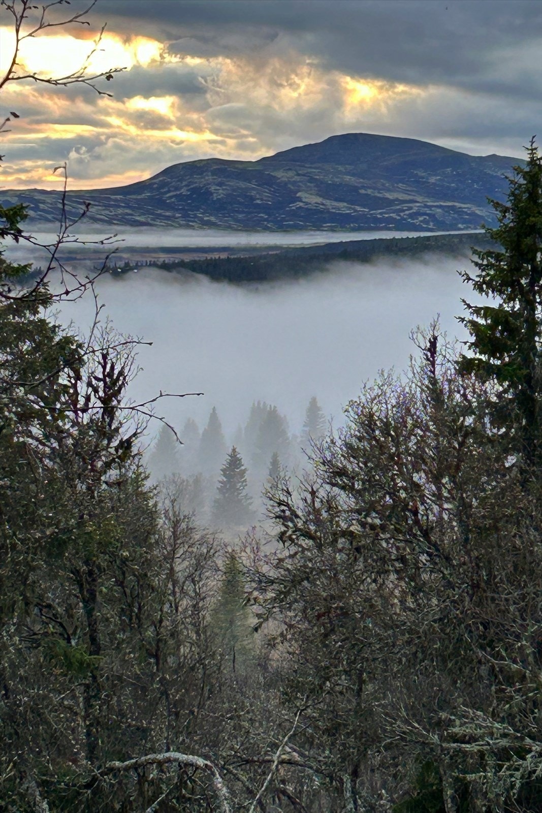 Velkommen til visning! Galleribilde