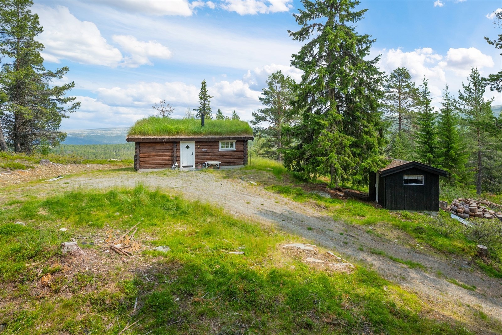 Vegen opp til hytta fra Gruvvegen er litt bratt, men kan fint kjøres både sommer og vinter Galleribilde