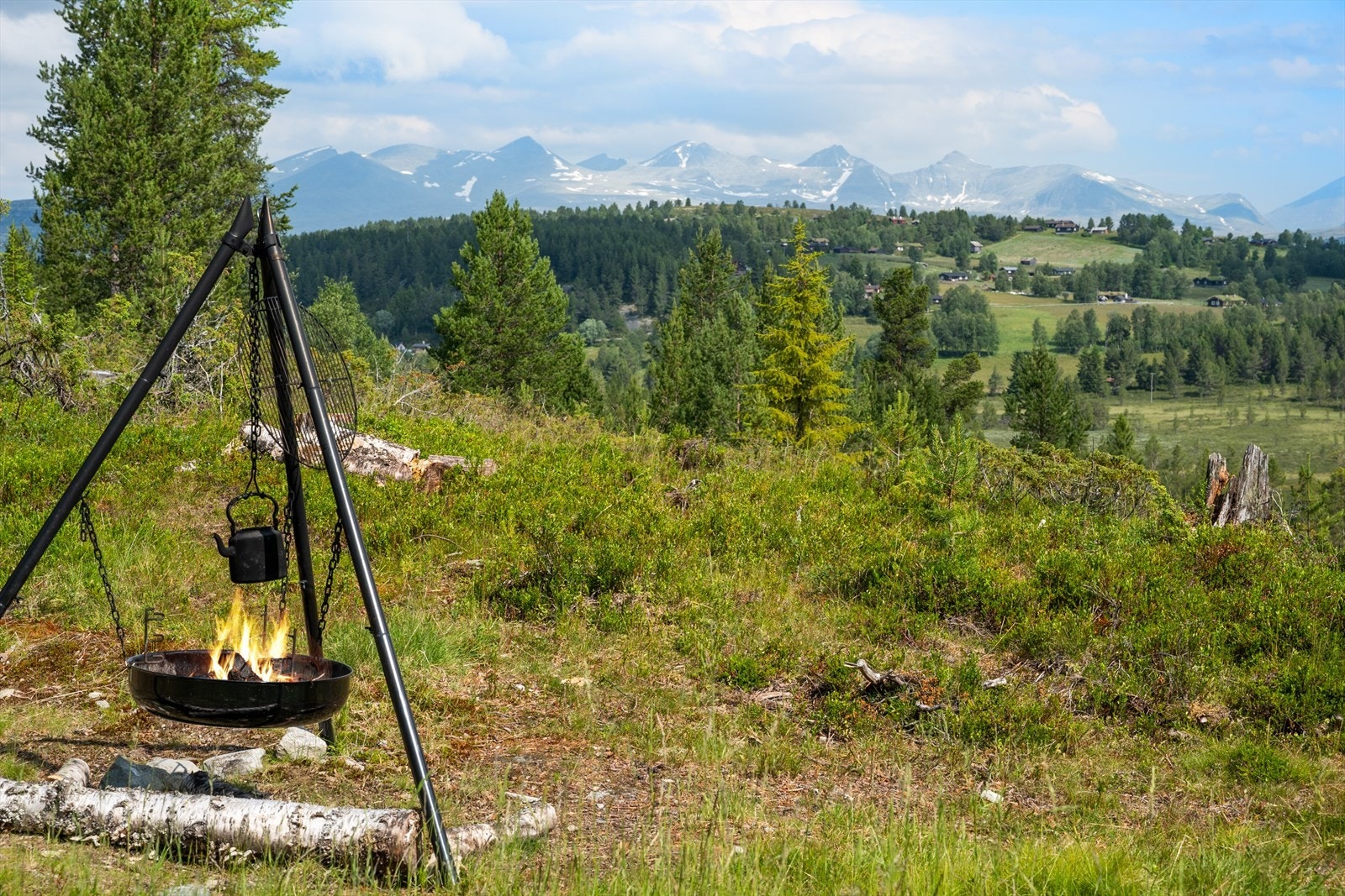 I hovedsak naturtomt med gress og lyng, og omkringliggende busker og trær. Galleribilde