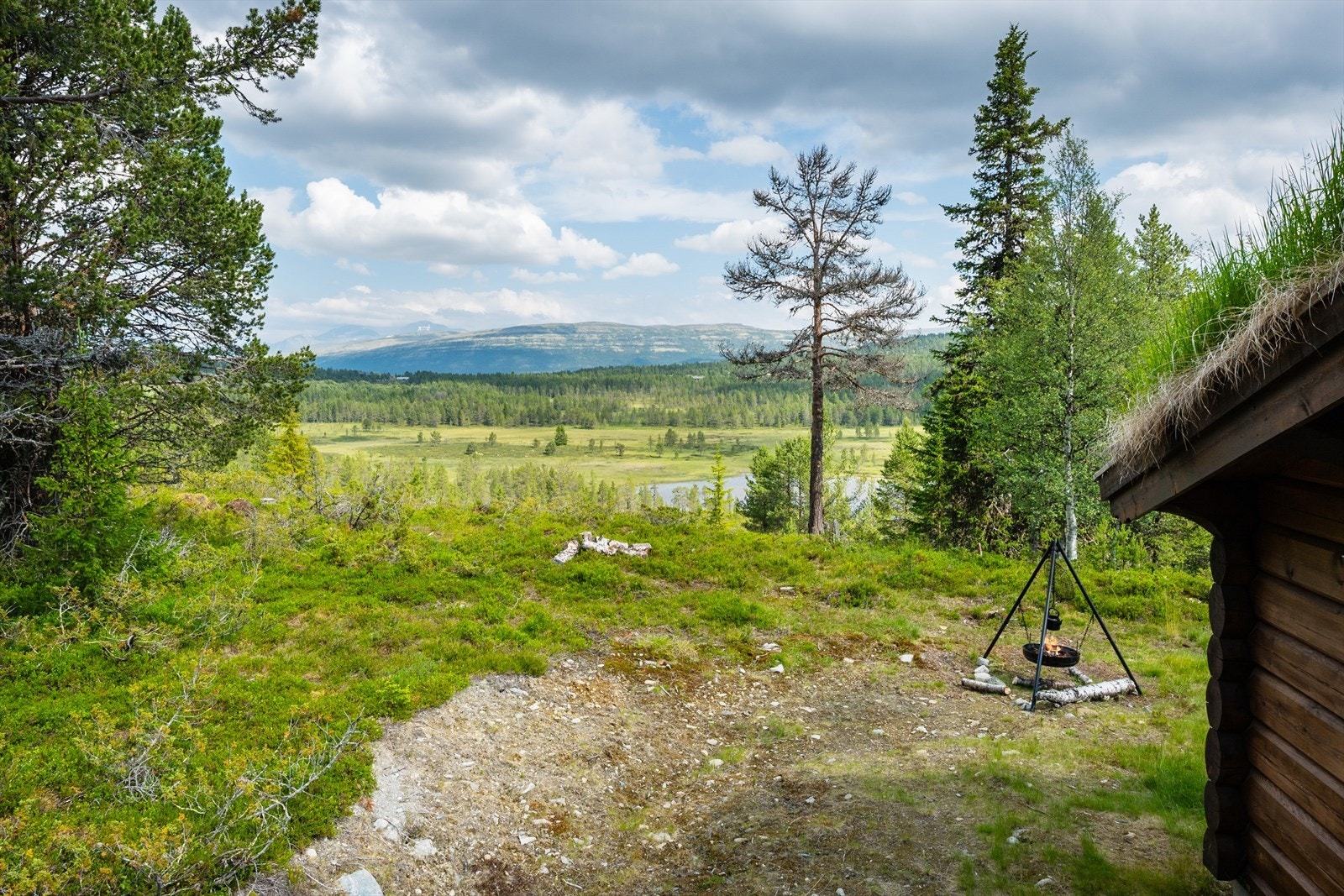 Tomten er ca 1255 kvm. Galleribilde