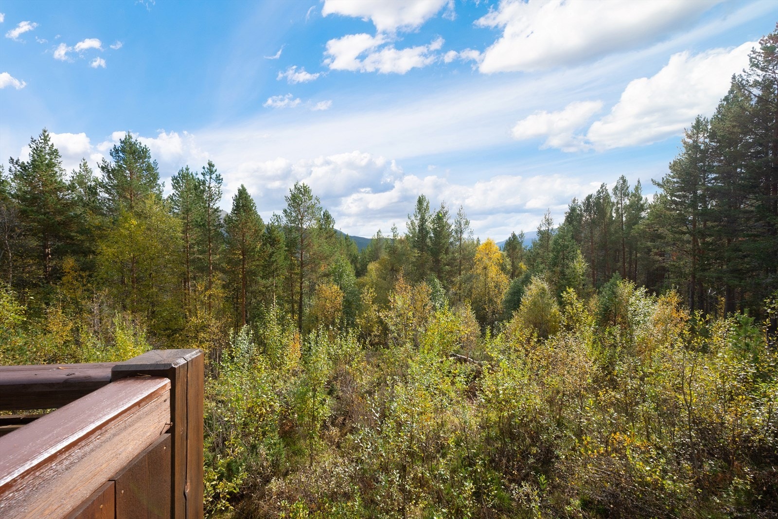 Utsikt fra terrassen. Galleribilde
