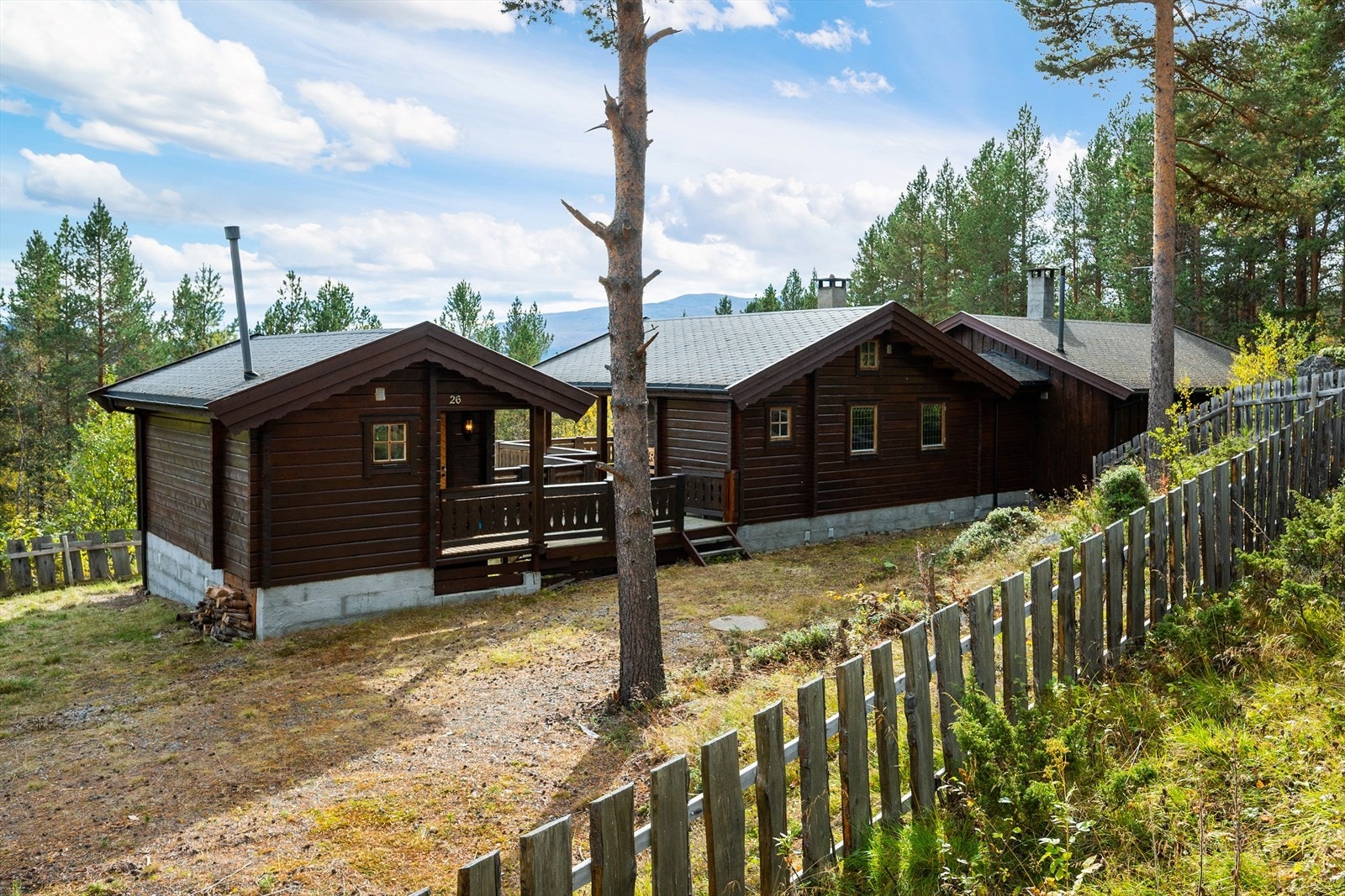 Velkommen på visning - Husk å melde deg på! Galleribilde