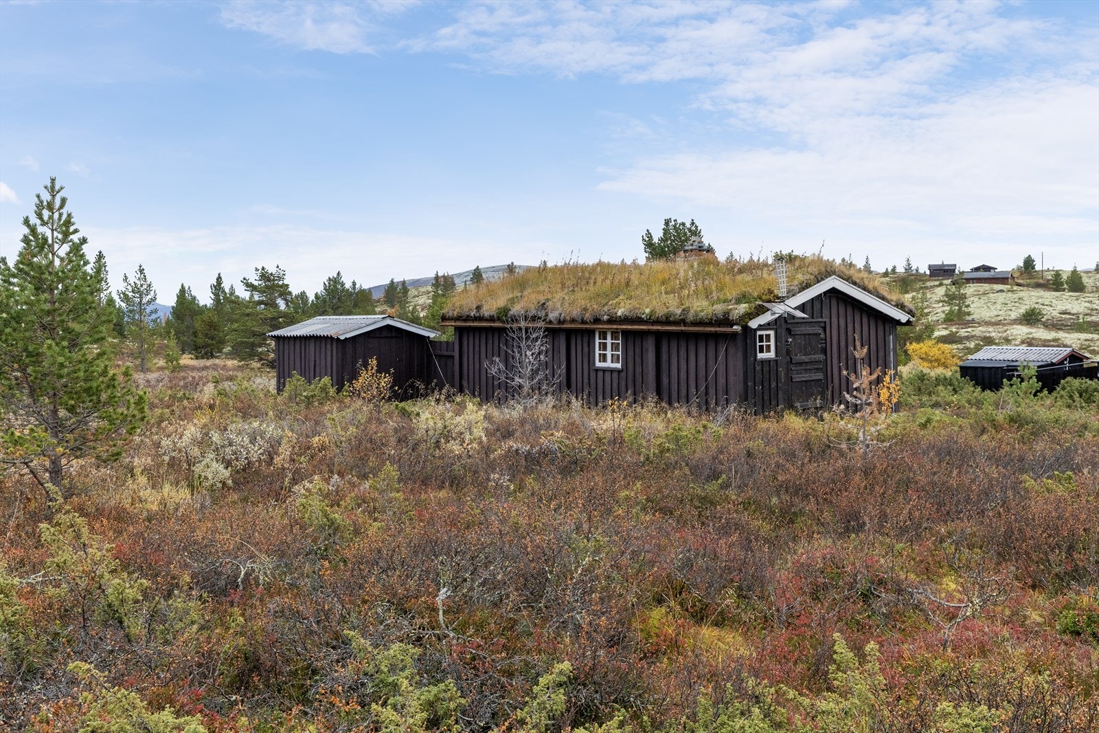 Hytta ligger med umiddelbar nærhet til flott natur. Galleribilde