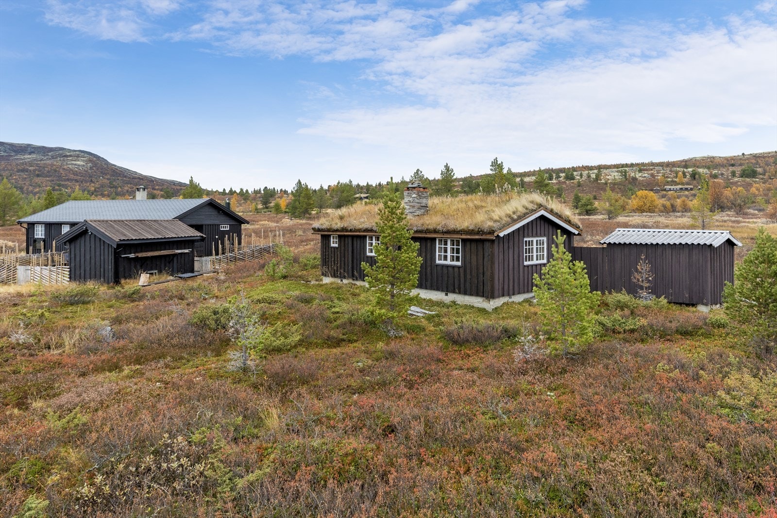 Velkommen på visning! Husk å melde deg på. Galleribilde