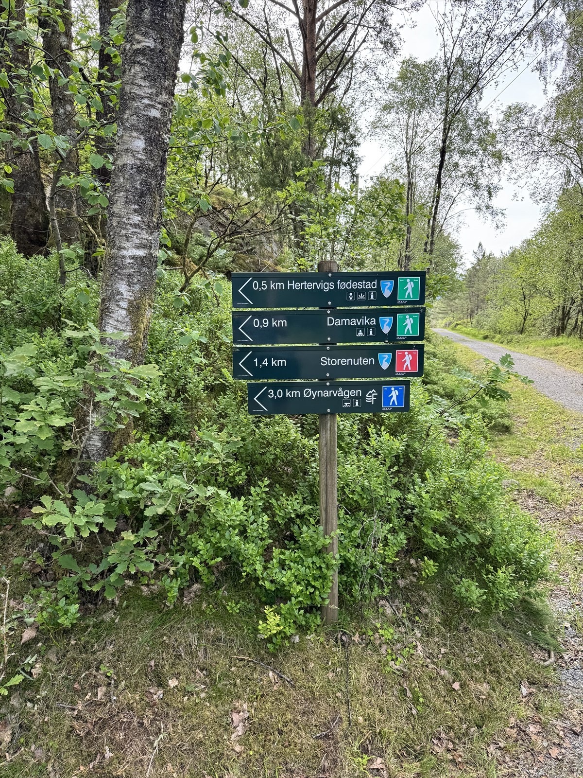 På Borgøy er det flotte turmuligheter! Galleribilde