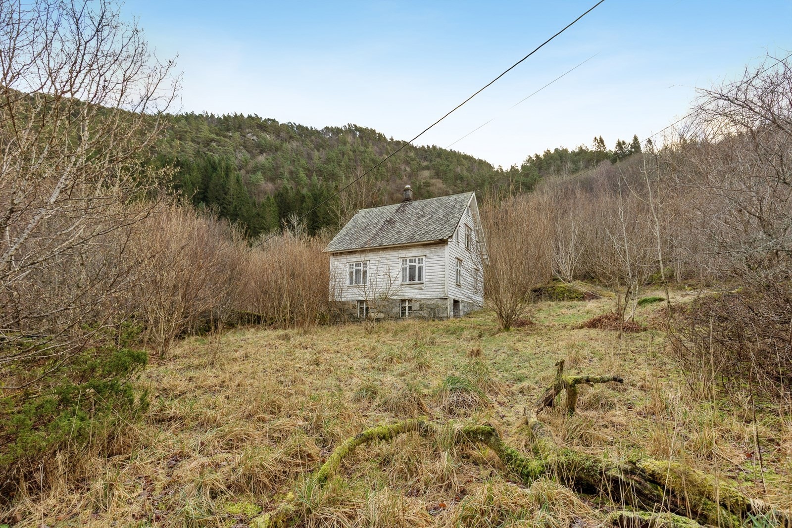Eiendommen bnr. 2 (Borgøy 147) består av totalt 4 teiger, og er i stor grad naturtomt med skog, utmark, sjølinje og kupert terreng. Galleribilde