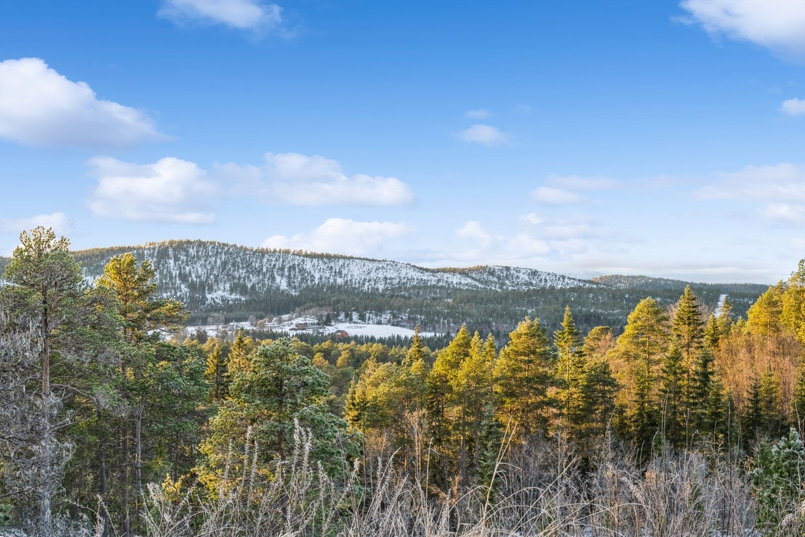 Her er det også flott utsikt over nærområdet. Galleribilde