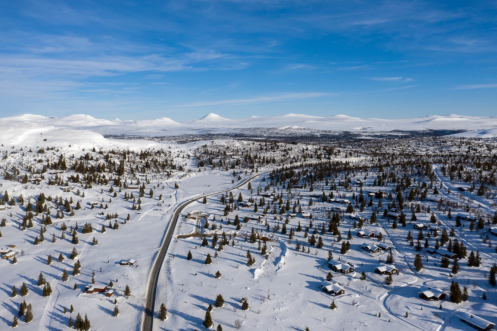 Venabygdsfjellet kan by på både snaufjell og skogsterreng. Galleribilde