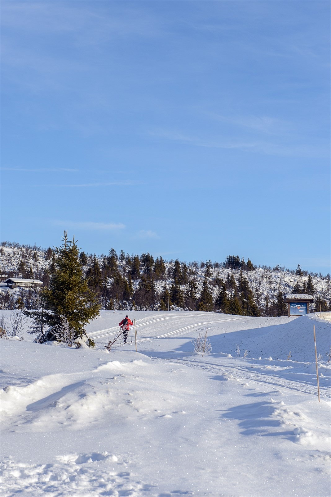 Skiløyper ved Grønnskardstjønnet. Galleribilde