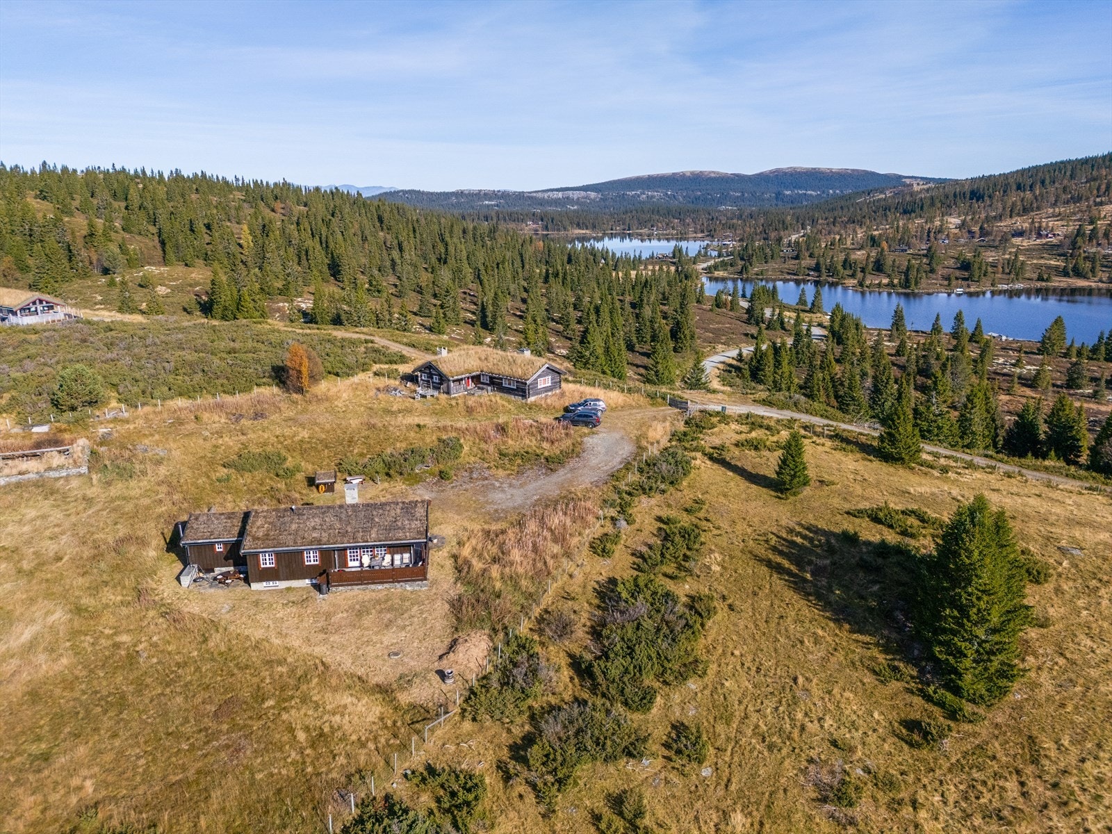 Velkommen til visning! Galleribilde