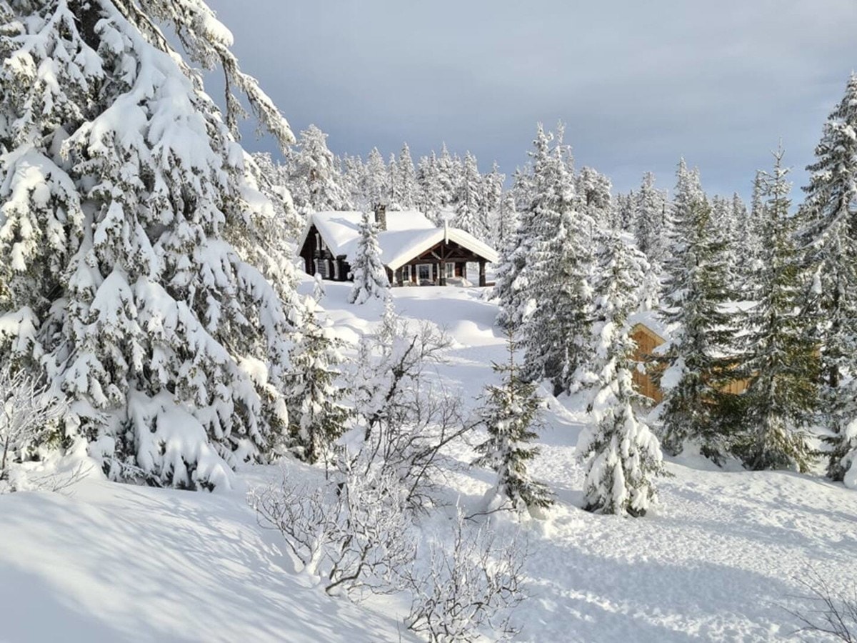 Birkenåsen er kjent for å være snøsikkert - her bader hytta i vinteridyll. Foto privat. Galleribilde