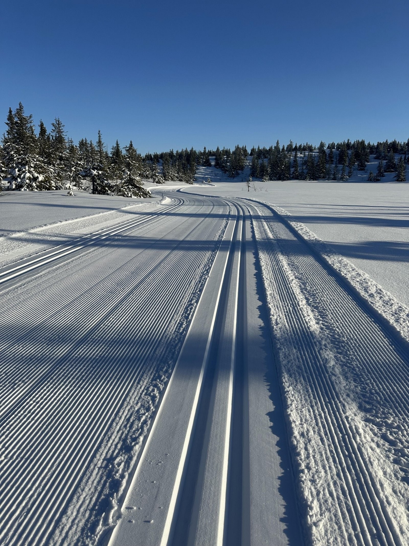 Birkenåsen er kjent for sine flotte langrennsløyper som strekker seg hetlt inn til Hedmarksvidda Galleribilde