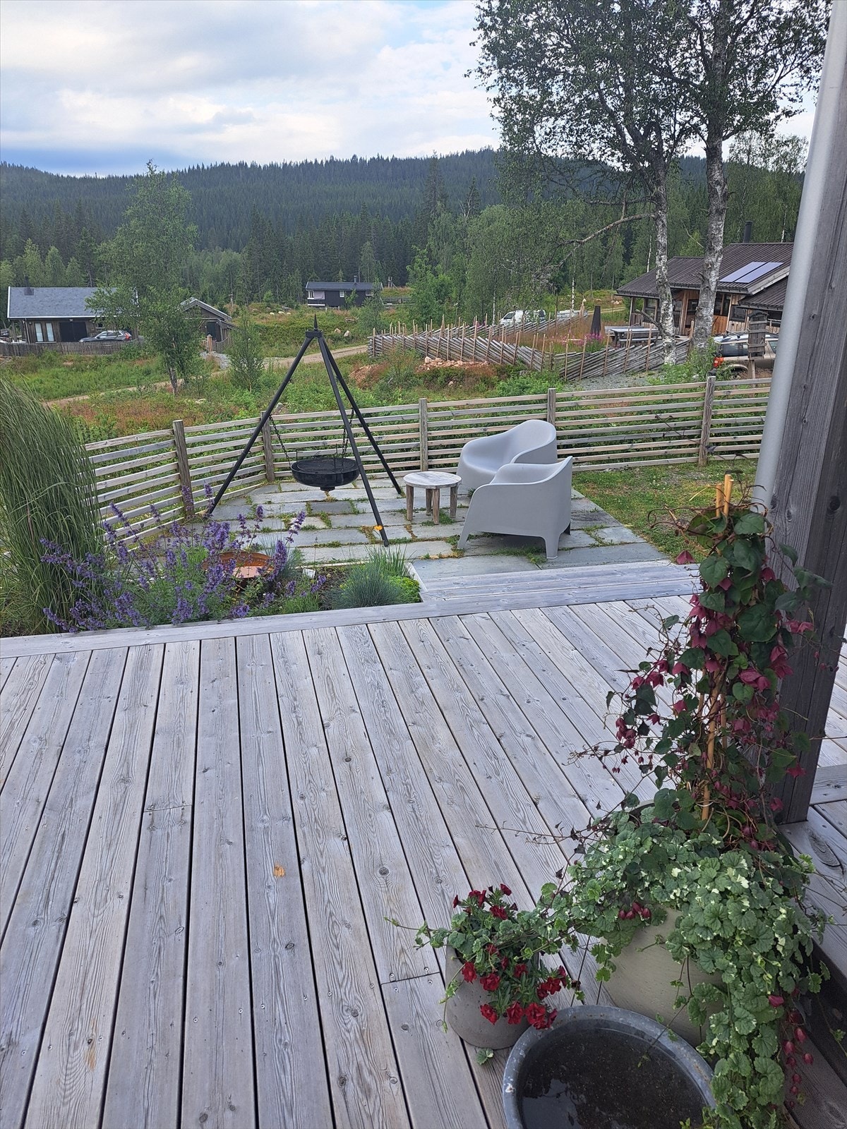 Sommerstemning. Galleribilde