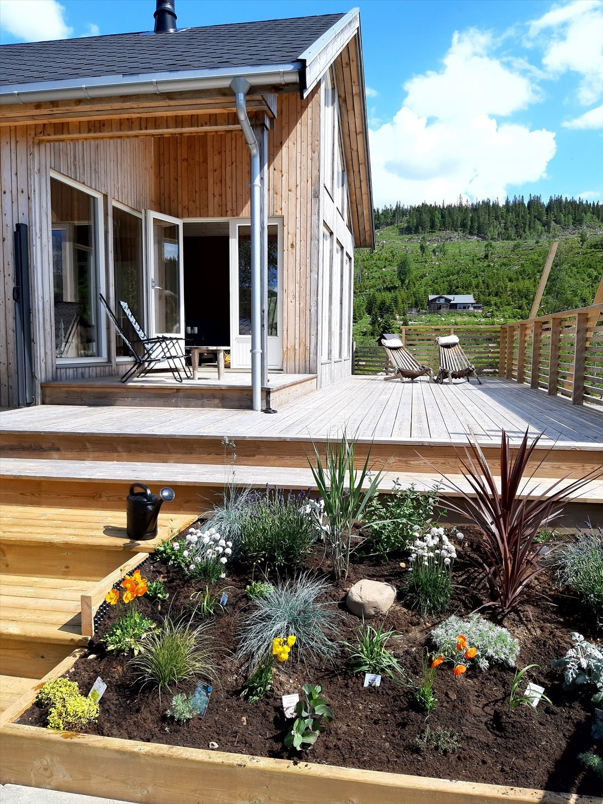 Sommerstemning. Galleribilde