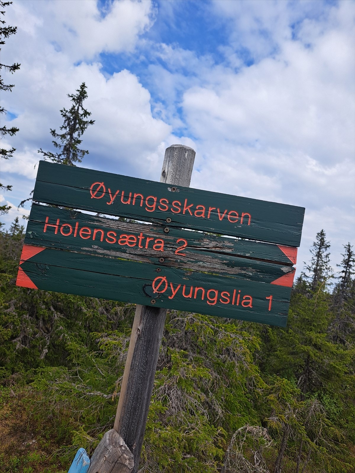 Godt merkede turstier i området, som den 62 km lange Totenåsstien. Galleribilde