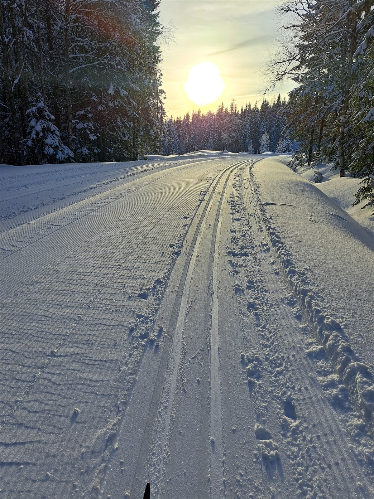 Nærmeste langrennsløype ligger kun ca 60 meter fra hytta. Galleribilde