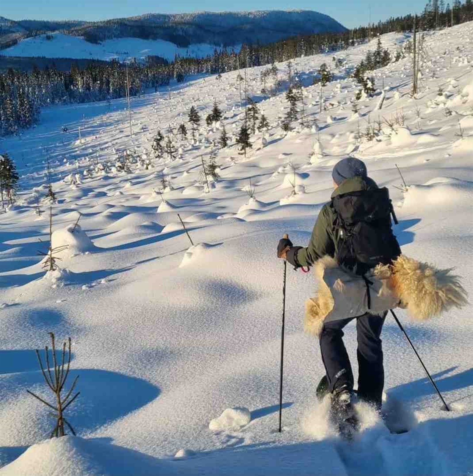 Fra dørstokken har du umiddelbar tilgang til et mangfold av turmuligheter, sommer som vinter. Galleribilde