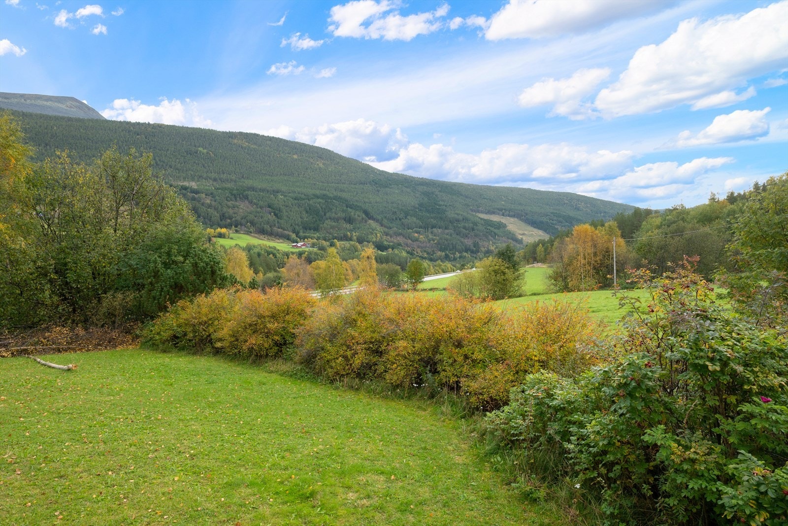 Herfra er det ca 10-20 minutters kjøring til barnehage, skole og nærmeste dagligvare. Galleribilde