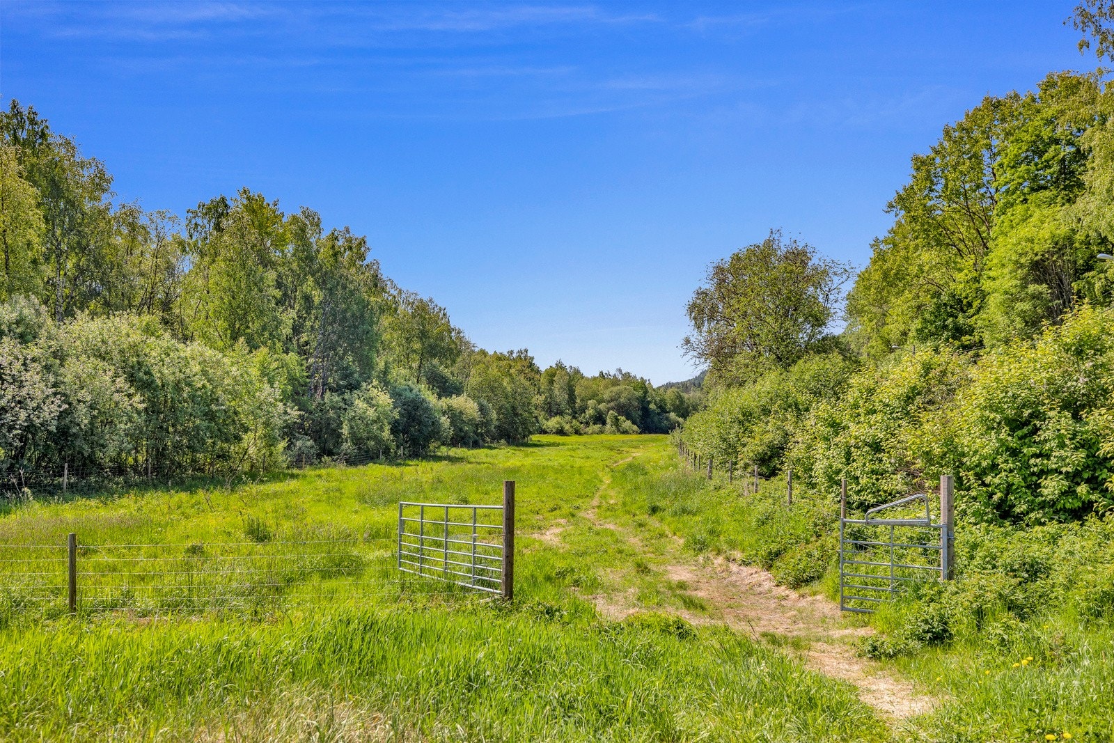 Området byr på et rikt utvalg av fritidsmuligheter - fotballbaner, lysløyper, flerbrukshall og et ridesenter omkranser borettslaget. Galleribilde