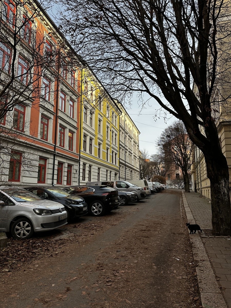 Leiligheten ligger i en rolig gate Galleribilde