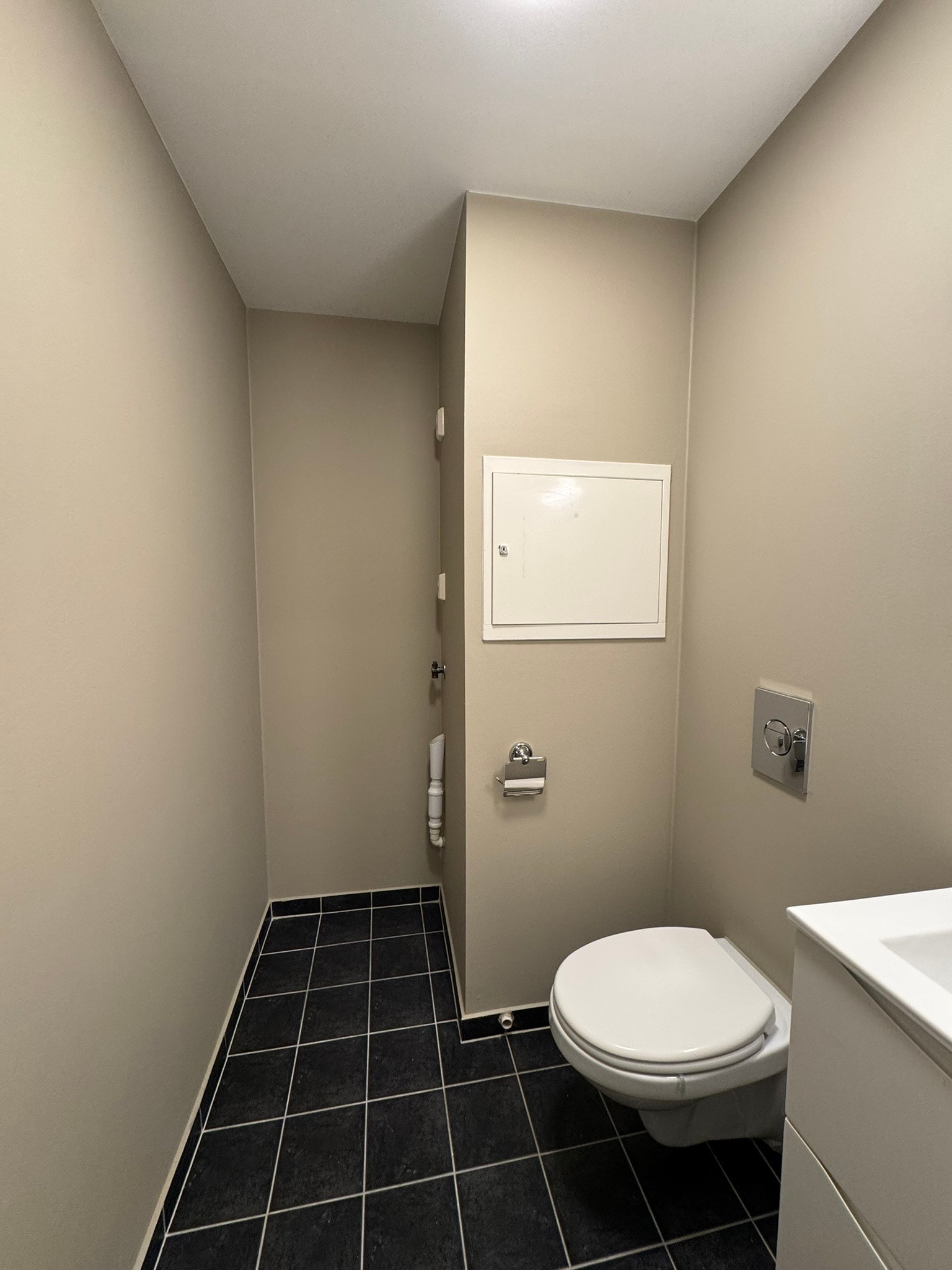 Separat toalett med opplegg for vaskemaskin. Galleribilde