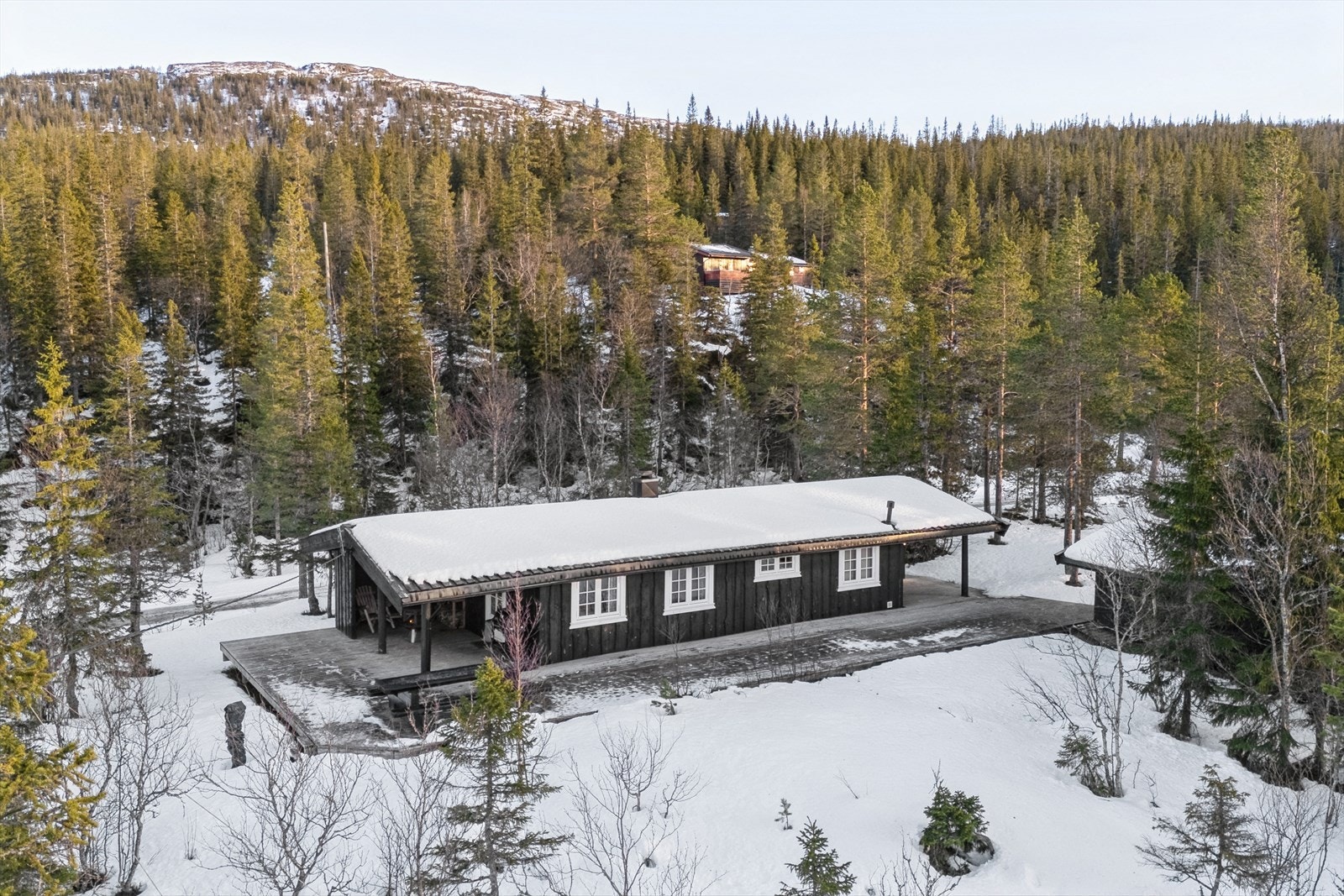 Velkommen til trivelig visning! Galleribilde